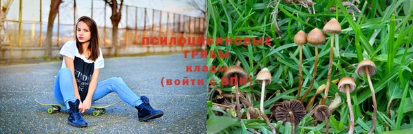 мдпв Новокубанск