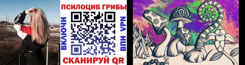 Галлюциногенные грибы Psilocybe  ОМГ ОМГ онион  Алапаевск  что такое  