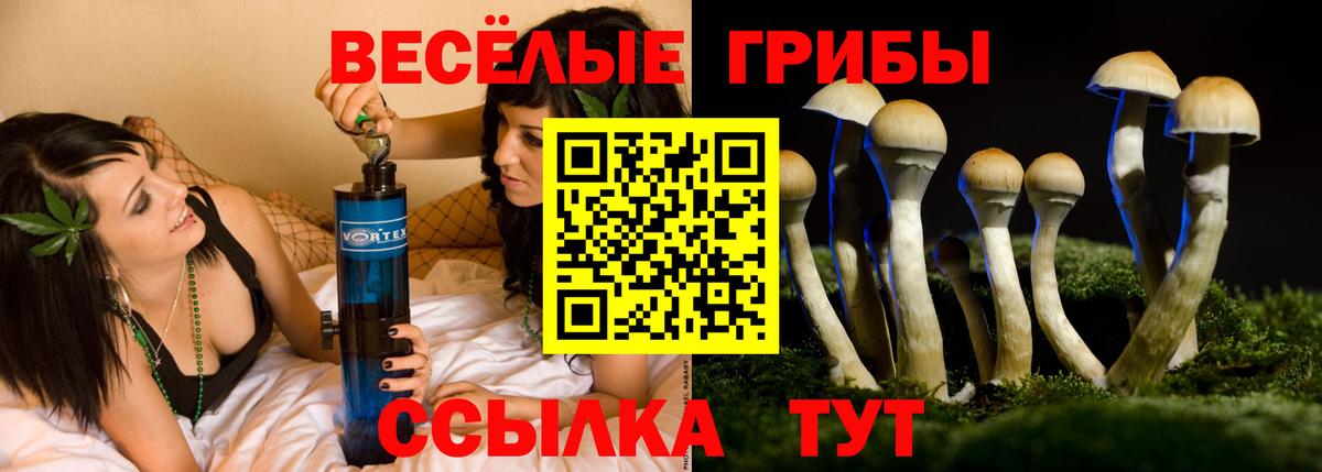 Псилоцибиновые грибы Cubensis  Вход с VPN  Алапаевск 